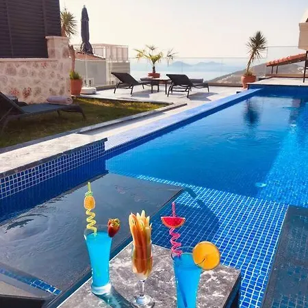 Villa Centrally Located Luxury Villa: Alesta *
